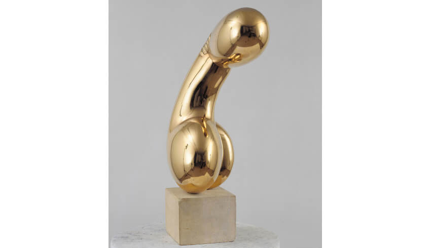 sculptor constantin brancusi born in hobita romania and worked from his studio in paris france