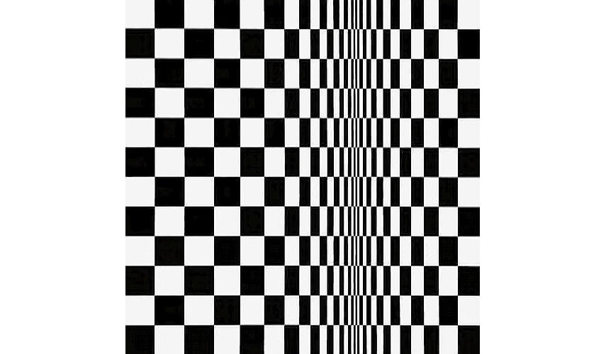 movement in squares by english artist bridget riley