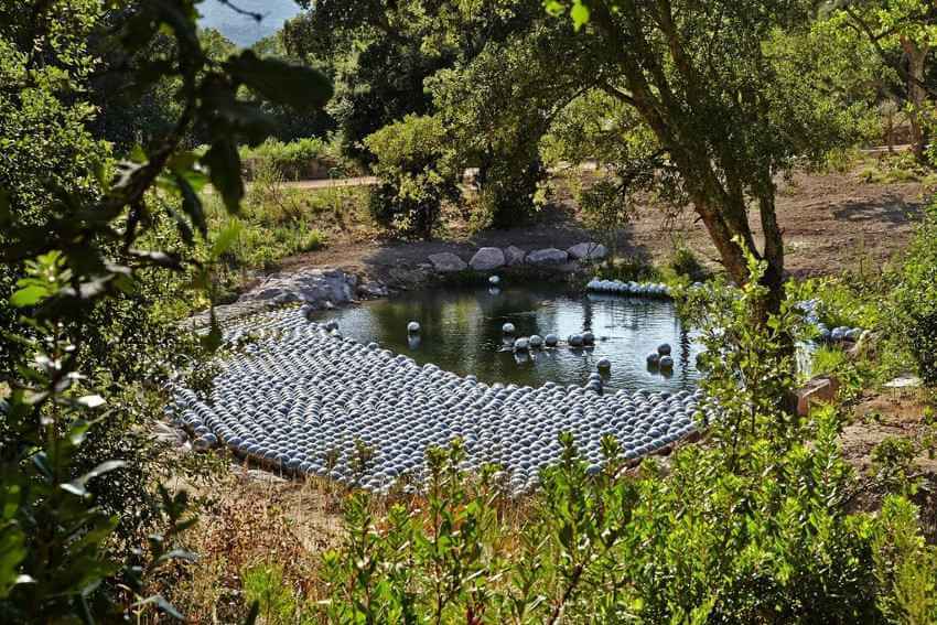 Narcissus Garden by japanese artist yayoi kusama