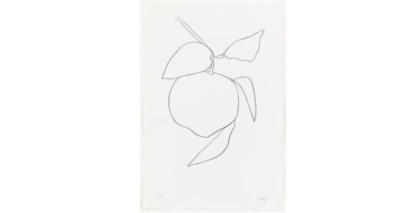 american artist ellsworth kelly different color paintings and drawings on paper in new york gallery and museum