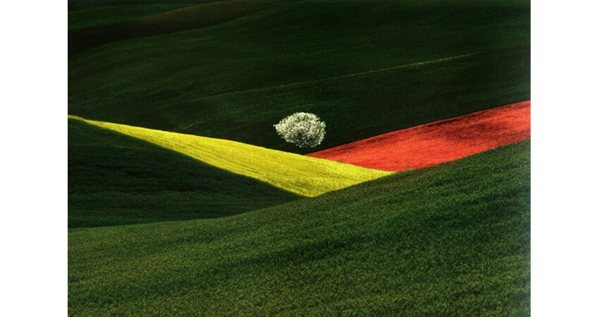 Franco Fontana work and life