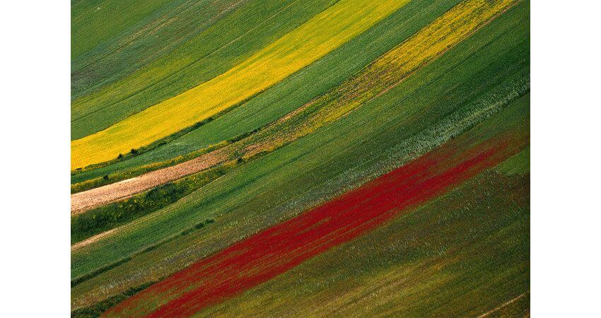 Franco Fontana work