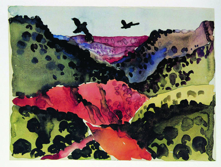 Georgia O Keeffe Canyon With Crows drawing